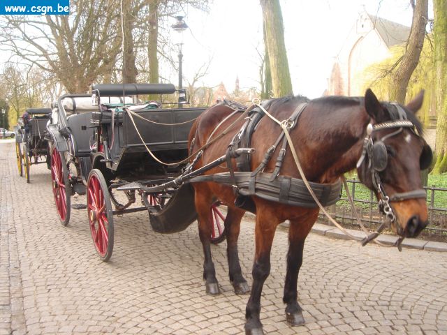 PB-GB 015.jpg